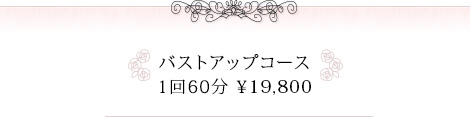バストアップコース 1回60分 ¥19,800